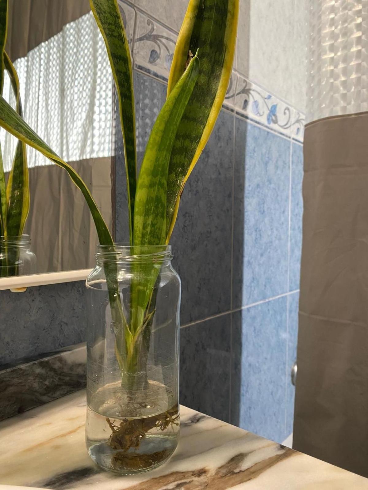 Luz'S Retreat Apartment Понта-Делгада Екстер'єр фото